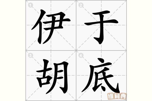 伊于胡底