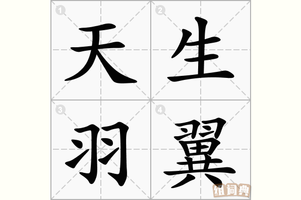 天生羽翼