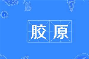 胶原