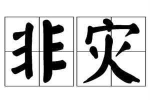 非灾