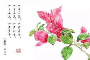 采葛