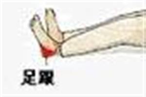 足跟