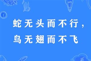 蛇无头而不行，鸟无翅而不飞