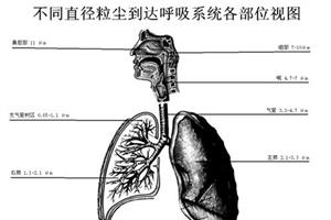 尘肺症