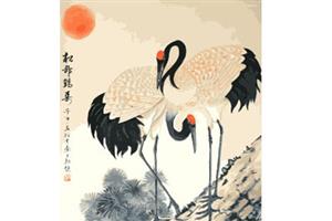 鹤寿
