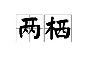 两栖