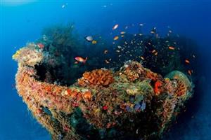 人工鱼礁