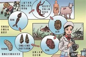 寄生虫病